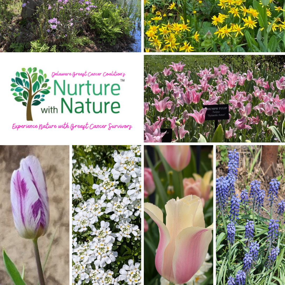 April spring flowers (2)