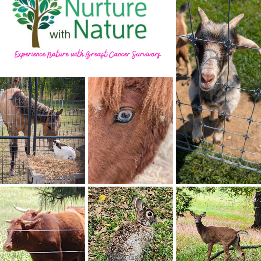 May animals