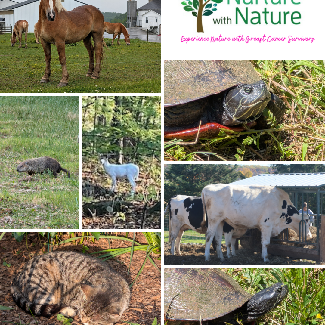 May animals (5)