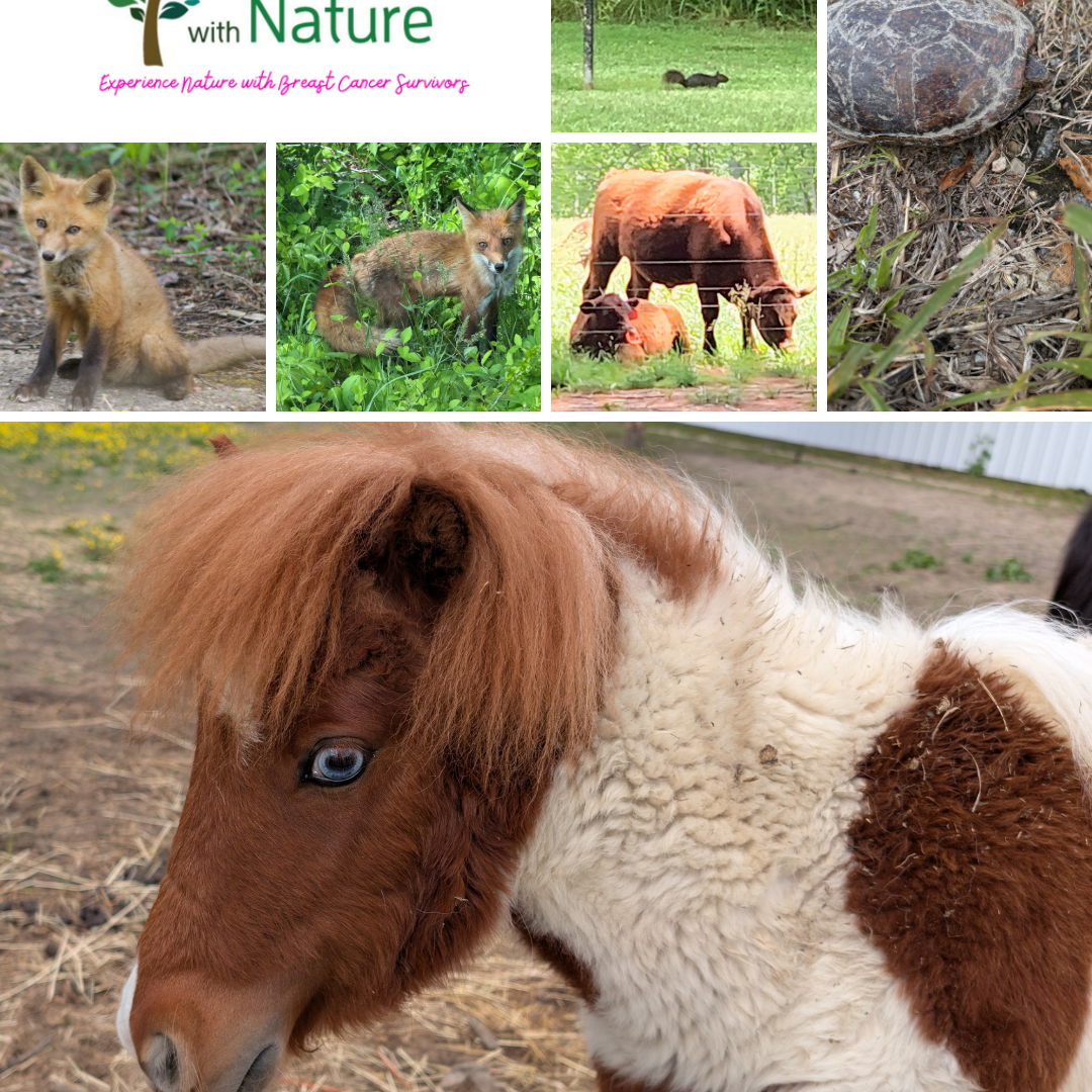 May animals (6)